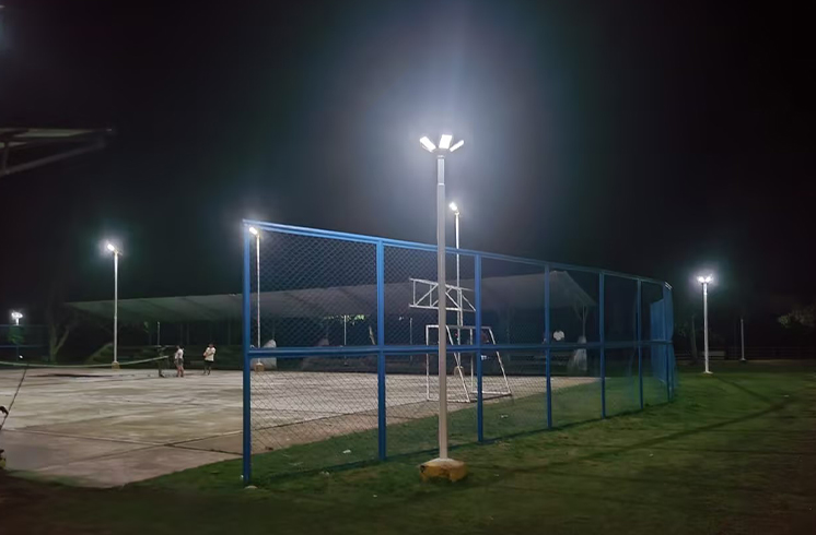 Soirées enchanteres: Exportateur de lumière solaire de jardin pour les lieux d'accueil