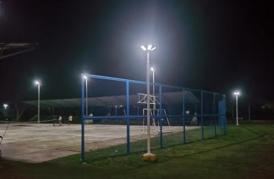 Soirées enchanteres: Exportateur de lumière solaire de jardin pour les lieux d'accueil